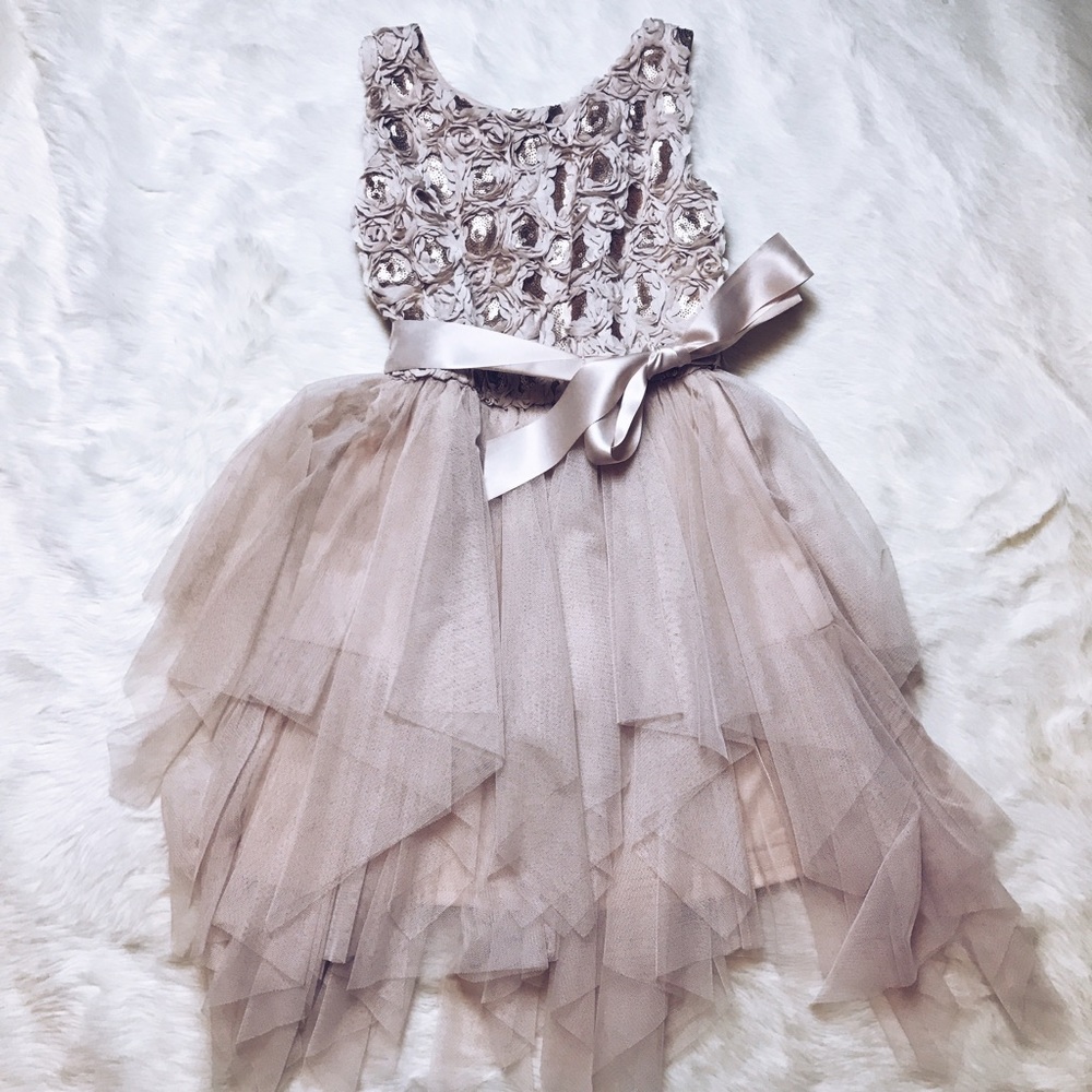 Beautiful size 8 lil girls Dress